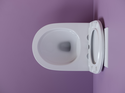 Подвесной унитаз Ceramicanova Uno CN11001 с крышкой-сидением фото 8