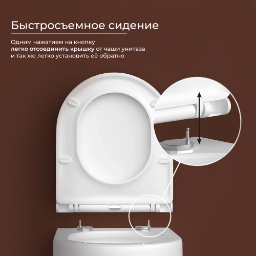 Подвесной унитаз Ceramicanova UP CN4007 с крышкой-сидением фото 2